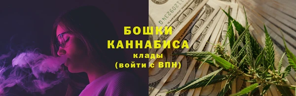 индика Вяземский