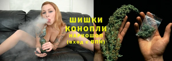 прущие грибы Балахна