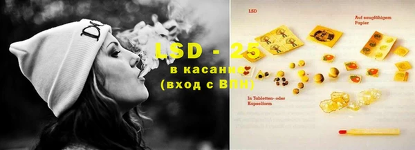 прущие грибы Балахна