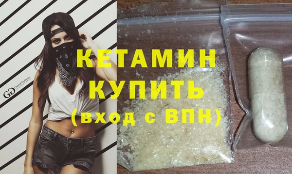 индика Вяземский